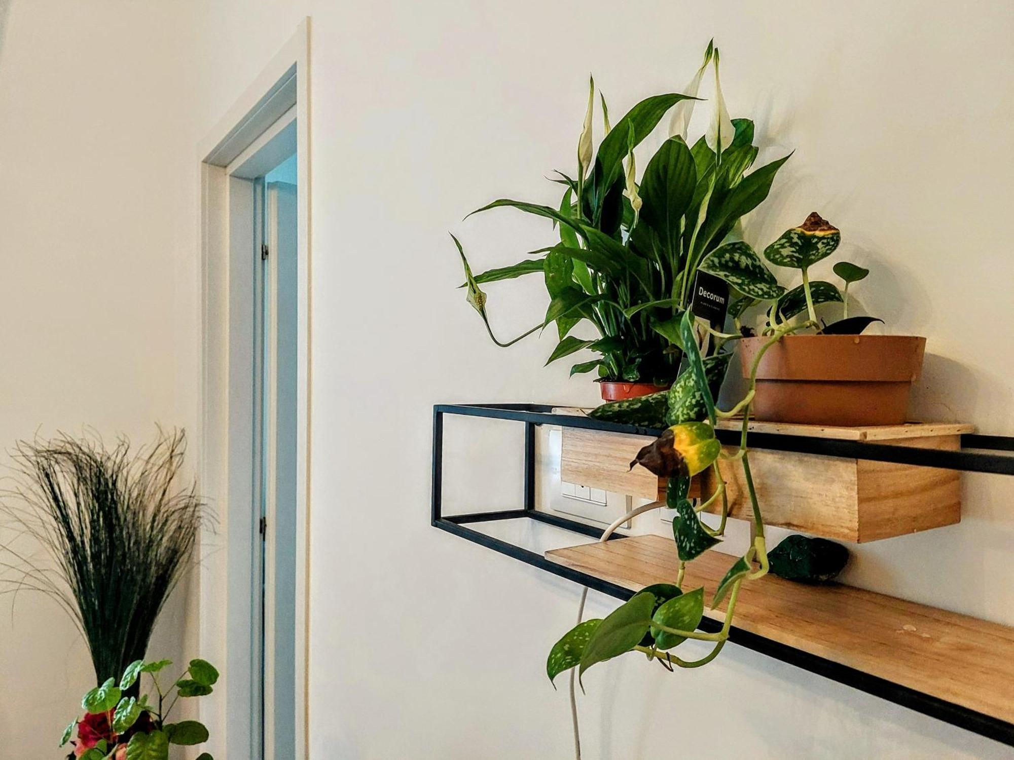 City Apartment - Il Ghiro Firenze Eksteriør bilde